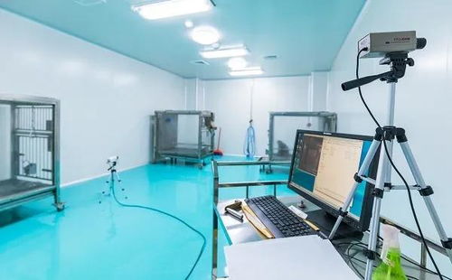 科研试金石与生物制剂研发的幕后功臣 实验动物的神奇使命