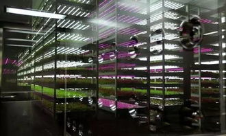 经济见底回升中的新经济亮点 生物制剂研发引领产业升级