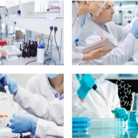 难溶性碱及其在生物制剂研发中的挑战与应用