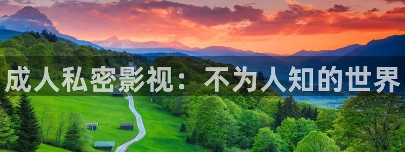 蓝莓tv.：成人私密影视：不为人知的世界