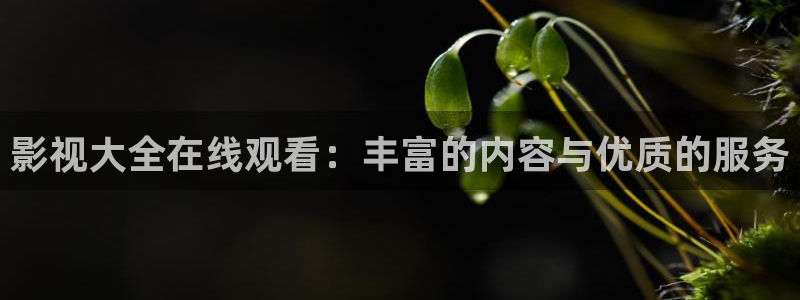 蓝莓视频怎么下载：影视大全在线观看：丰富的内容与优质的服务