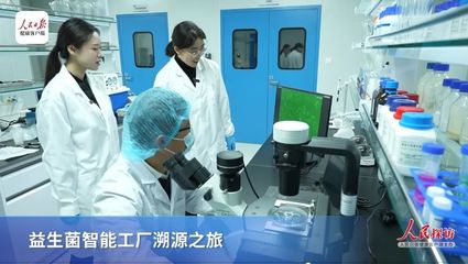 解码中国益生菌“芯片”制造全流程——走进澳优锦旗生物探索生物制剂研发