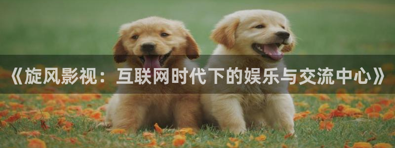 蓝莓视频在线免费观看：《旋风影视：互联网时代下的娱乐与交流中心》