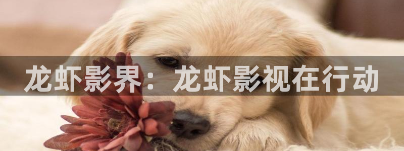 蓝莓视频直接进：龙虾影界：龙虾影视在行动