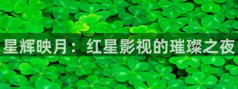 蓝莓怎么授粉视频：星辉映月：红星影视的璀璨之夜