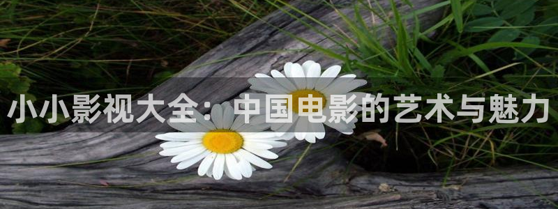 蓝莓怎么剪枝视频：小小影视大全：中国电影的艺术与魅力