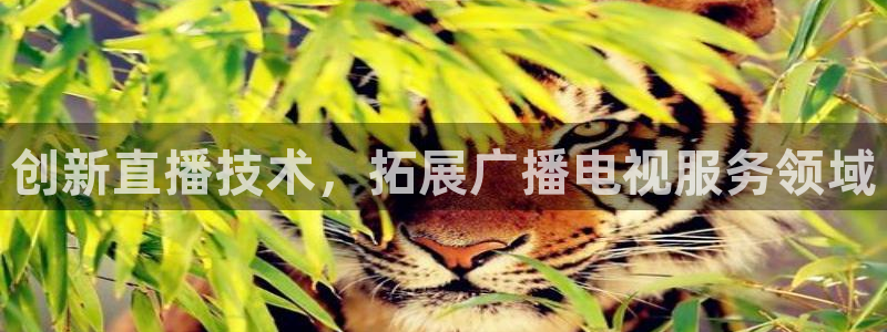 在线蓝莓免费：创新直播技术，拓展广播电视服务领域