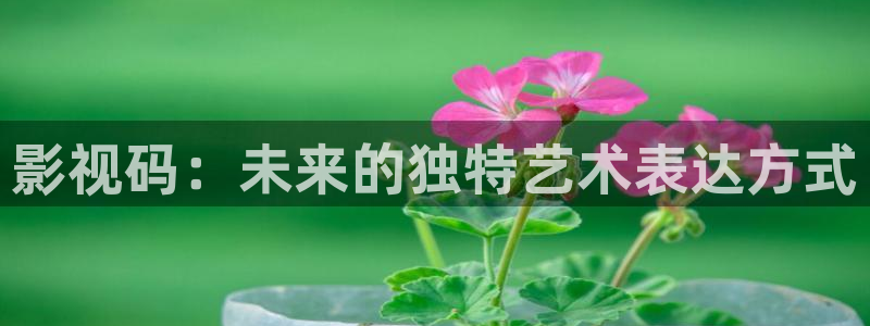 蓝莓影视网站：影视码：未来的独特艺术表达方式
