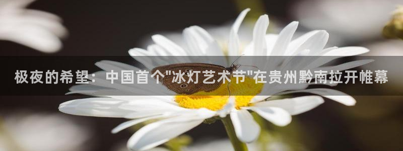 蓝莓视频网站.：极夜的希望：中国首个\