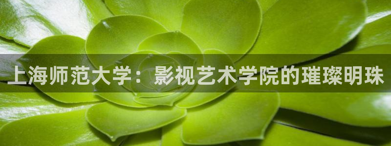 麻江蓝莓视频：上海师范大学：影视艺术学院的璀璨明珠
