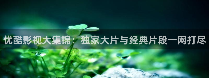 蓝莓视频免费：优酷影视大集锦：独家大片与经典片段一网打尽